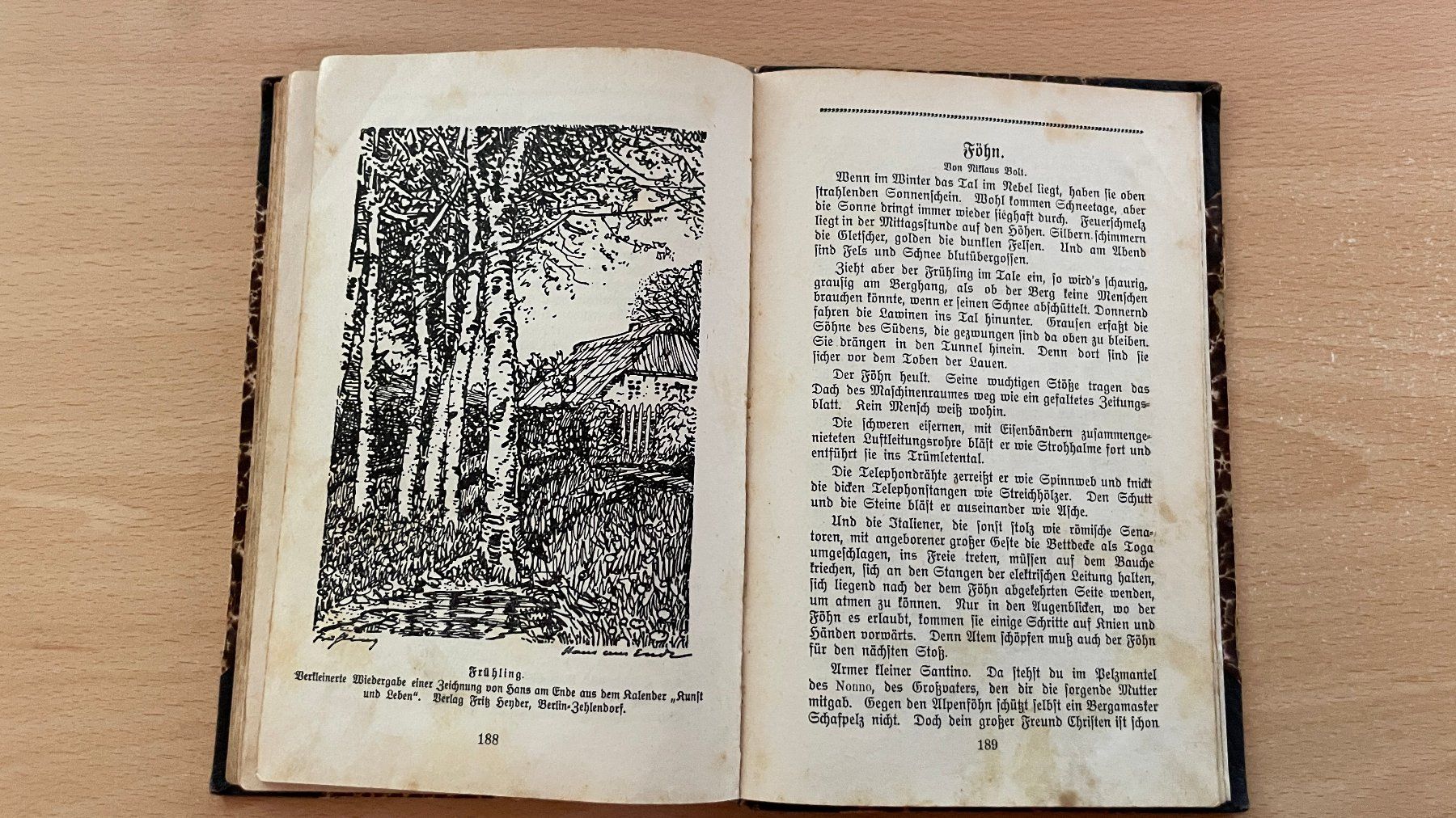 Libri: Jugend Born Monatsschrift Juni 1913 – Usato da Glattfelden venduto da cybermaxx 6