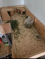 Meerschweinchen Gehege Meerschweinchenstall