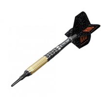 Target - Raymond van Barneveld G2 - Softdart 17g