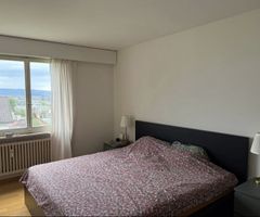 Malm 180x200 with mattress Valevag