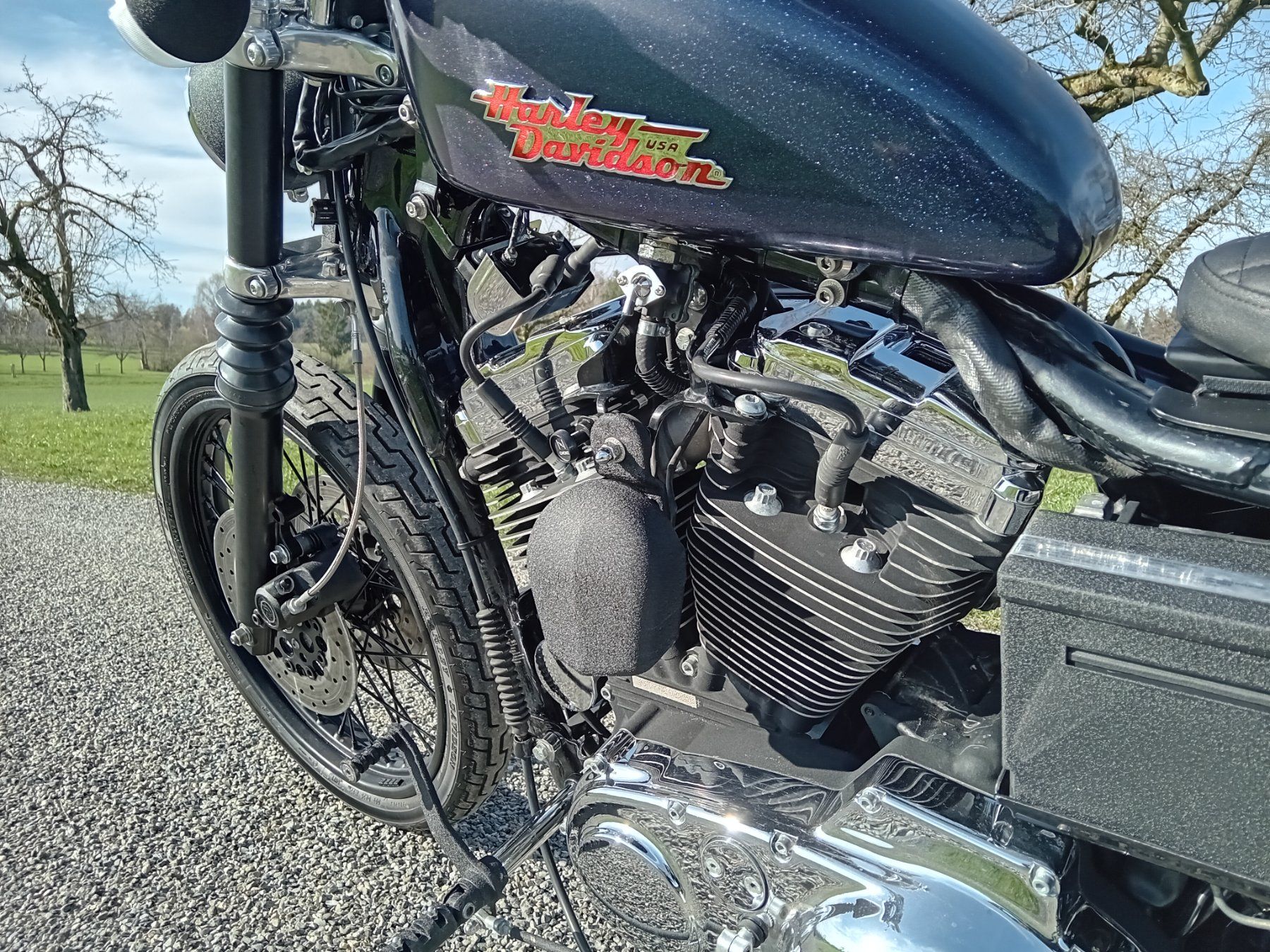 Chopper: Harley Davidson Sportster XL1200C – Usato da Langrickenbach venduto da matchless666 2