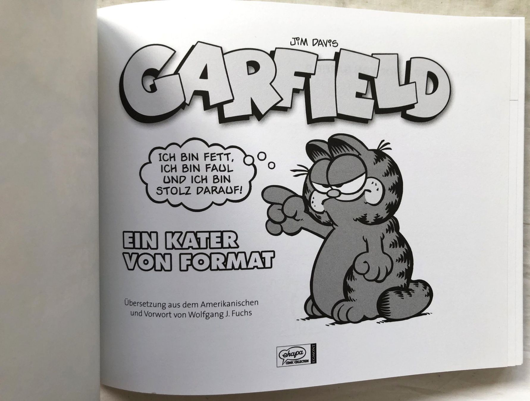 Fumetti: GARFIELD - Band 3 - Ein Kater von Format – Usato da Schaffhausen venduto da durruti 1
