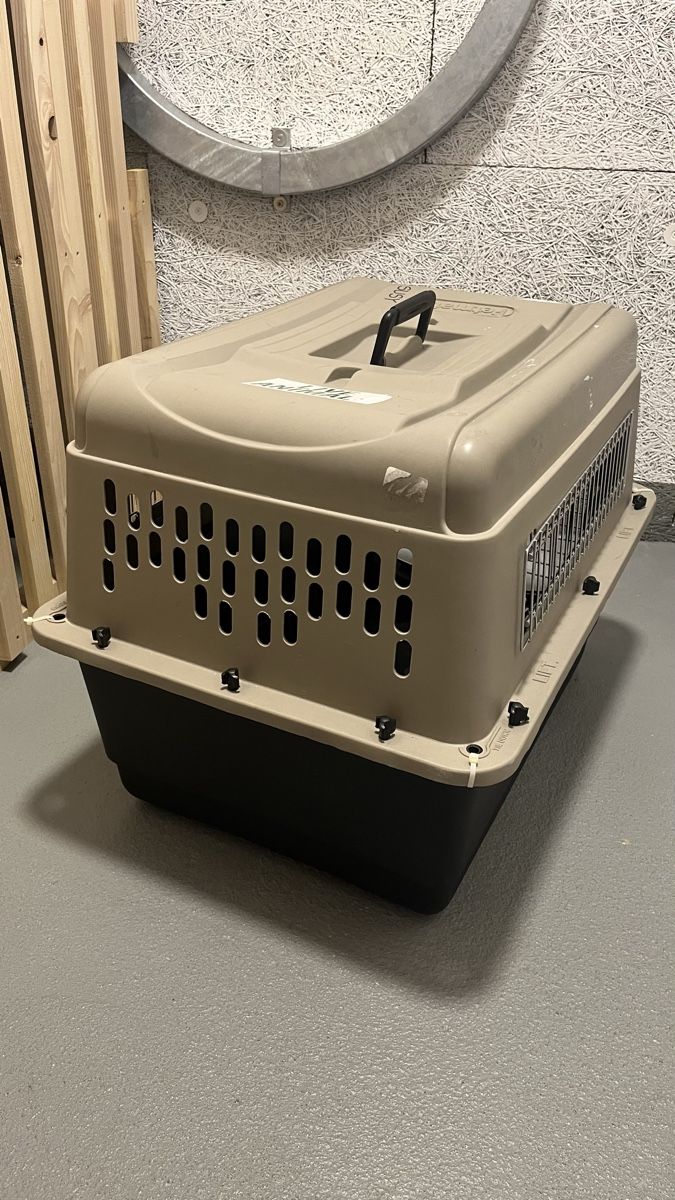 Gabbie, trasporto & Sicurezza: Savic dog transporter – Nuovo (secondo la descrizione) da Hochdorf venduto da car_2lvm 2