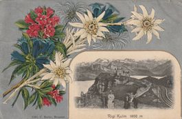 Rigi Kulm Prägekarte