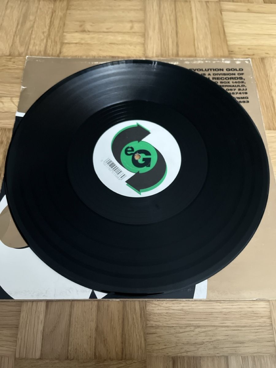 Dischi in vinile: Happy Raver Happy Hardcore Vinyl – Usato da Wangen b. Olten venduto da break72 3