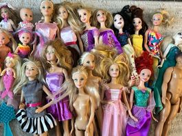 Diverse Barbies & Pferde