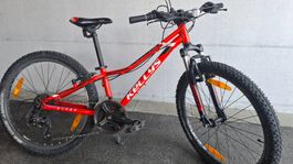 Vtt Kellys Kiter 50 enfant 24’́’