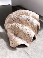 Riesenmuschel aus Indonesien