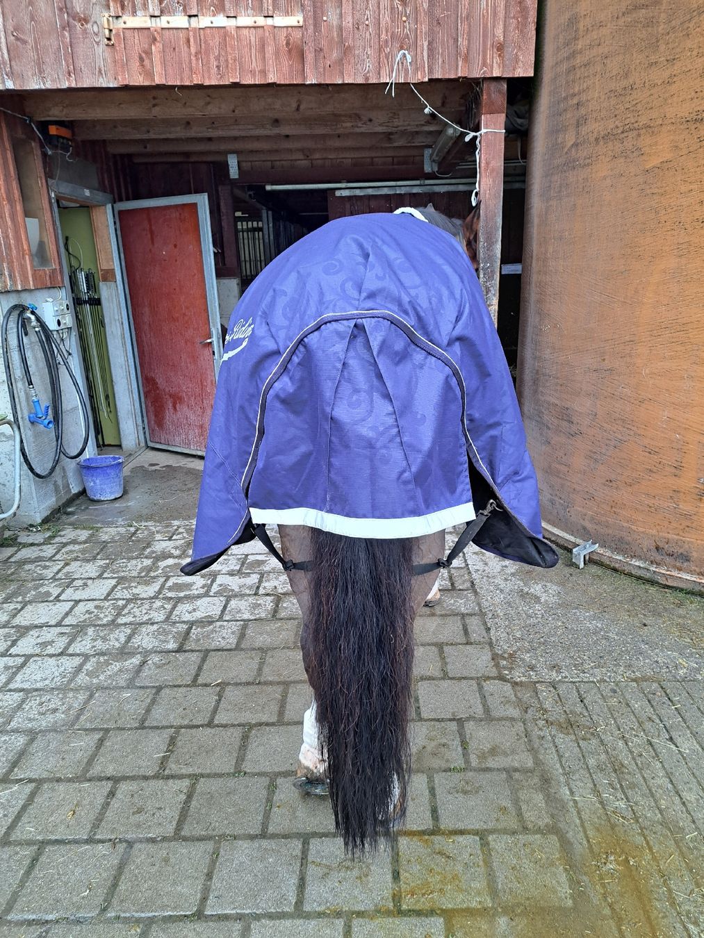 Coperte: Fleece-Winterdecke Grösse 165 – Usato da Seengen venduto da alexandra.weber 1