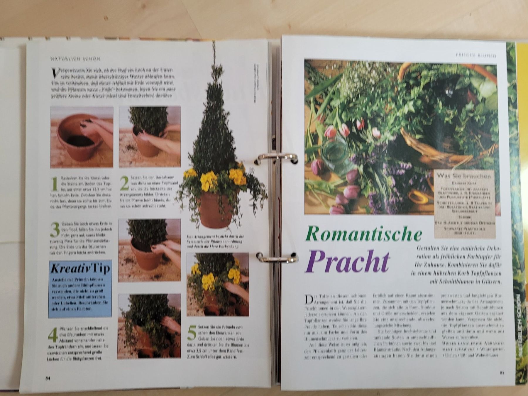 Raccoglitori: KREATIVE IDEEN – Usato da Neftenbach venduto da Mador6 5