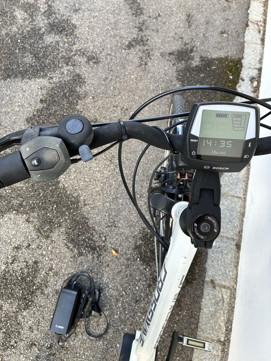 Crosswave Electric Bicycle with Bosch Active Line Motor (Défectueux) à ...