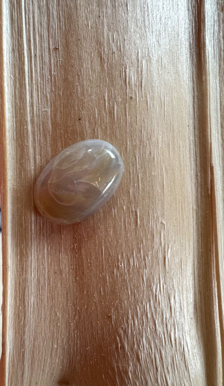 Fossili: Opal Cabochon    aus Australien Einzelstück  TOP TOP TOP – Nuovo e nell'imballaggio originale da Leuggern venduto da gemshow 5