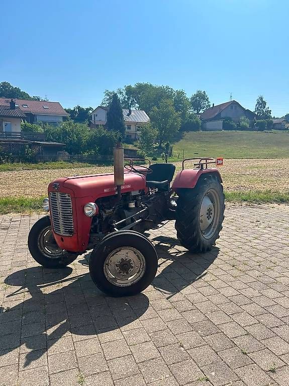 Massey Ferguson Trattori: Massey Ferguson 35 – Usato da Rothrist venduto da Chnupperi 3