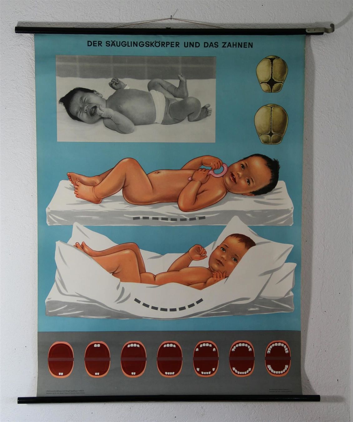 Poster & Bilder: Schulwandbild "Baby & das Zahnen" – Gebraucht aus Birrwil von brandschatz_birrwil 2