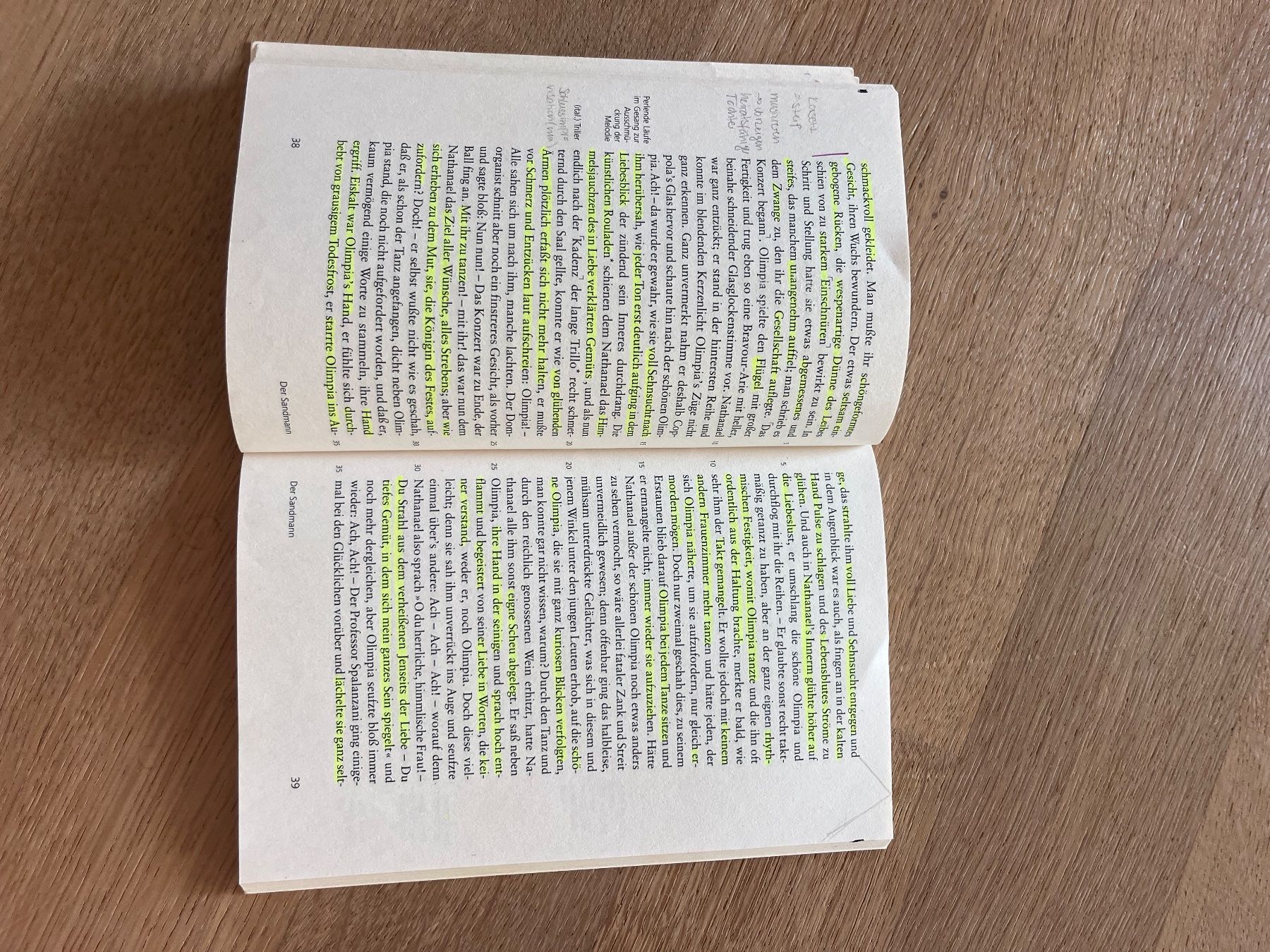 Libri: E.T.A. Hoffmann - Der Sandmann – Usato da Laupen BE venduto da lee_ym6v 8