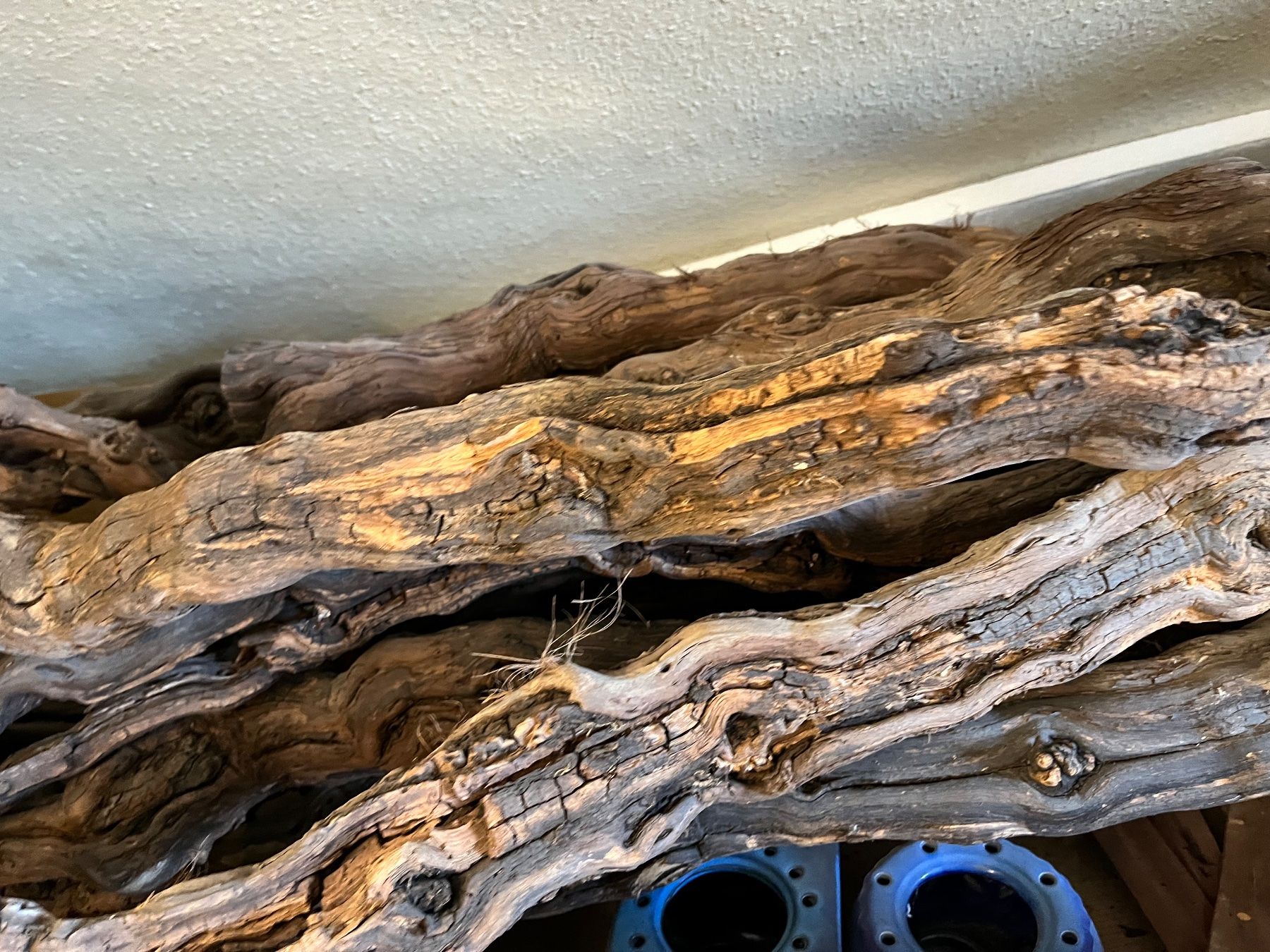 Terrario: Terrarium Rebenholz – Usato da Weisslingen venduto da Eniclote 1