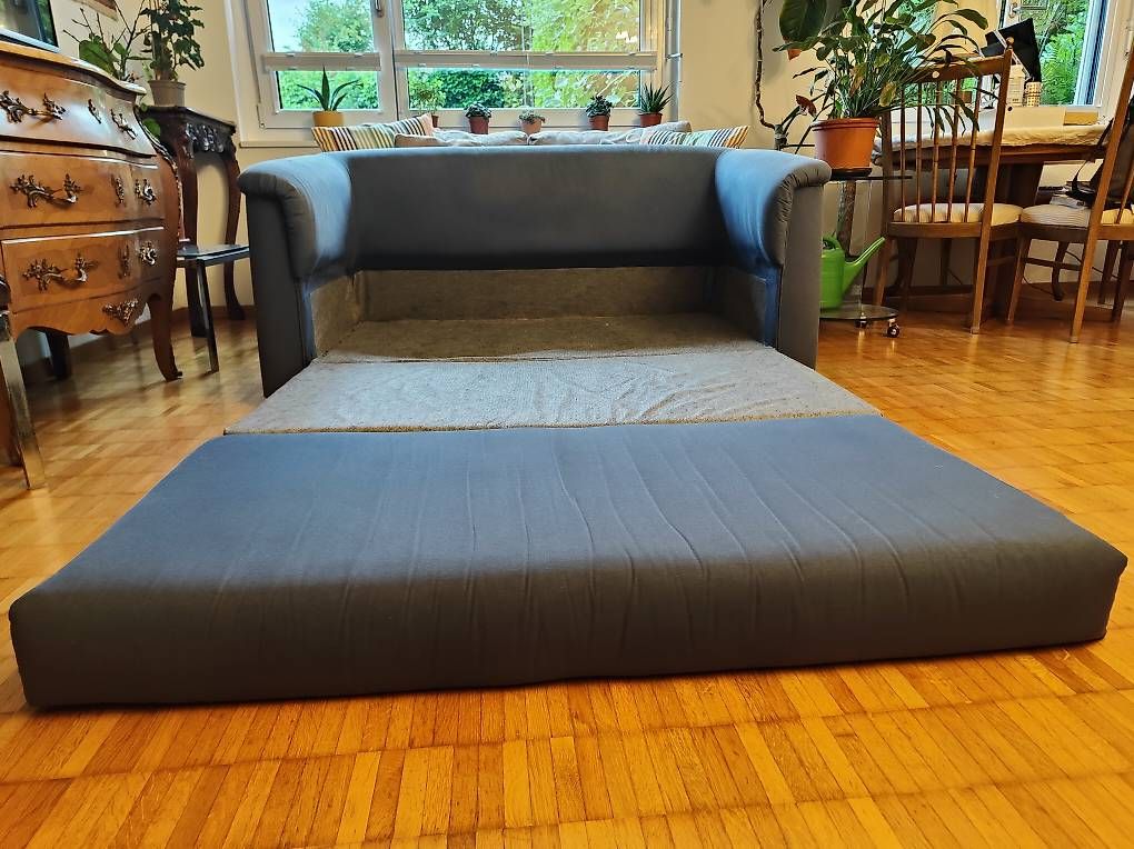 Divani: IKEA ASKEBY Schlafsofa 2 Sitzer Blau – Usato da Adligenswil venduto da cri_7fnc
