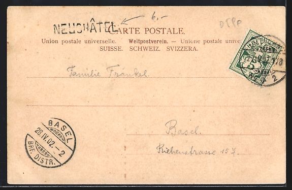 Cartoline postali: Neuchatel, Hotel des Alpes, Hotel Termin – Usato da Berlin venduto da bartko-reher 1