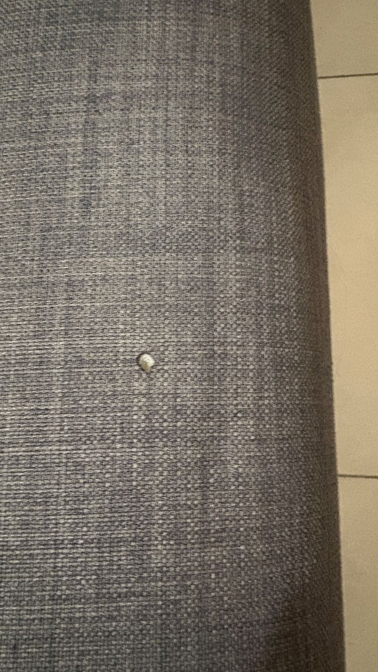 Tissus: Ikea Dunvik Boxspringbett- Bezug 140cm Bettbezug – D'occasion à Zürich par alivasalli 7
