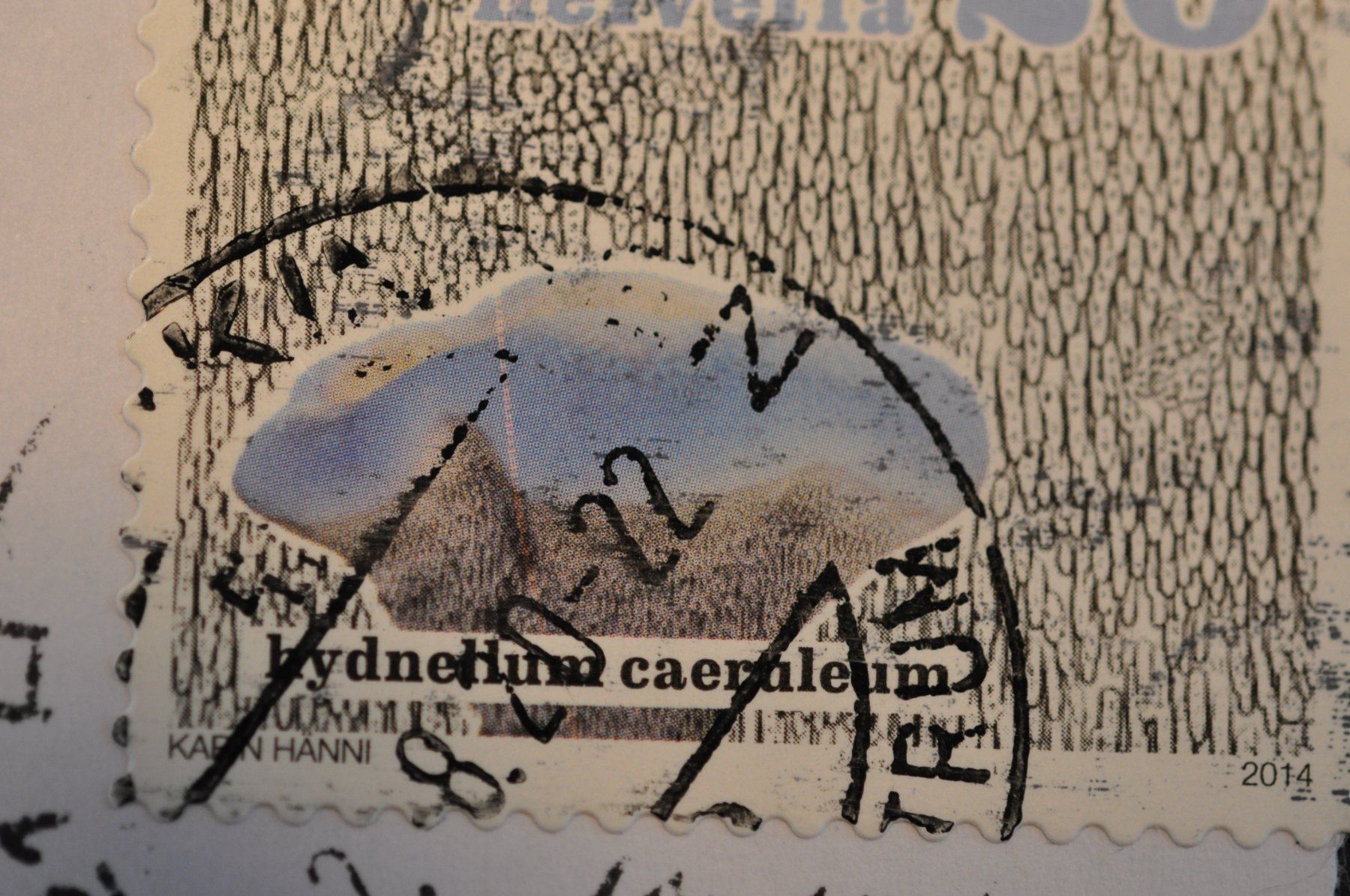 Alle Briefmarken: Abart Pilz 2014  länglicher roter Fleck – Gebraucht aus Worb von Buespy 3