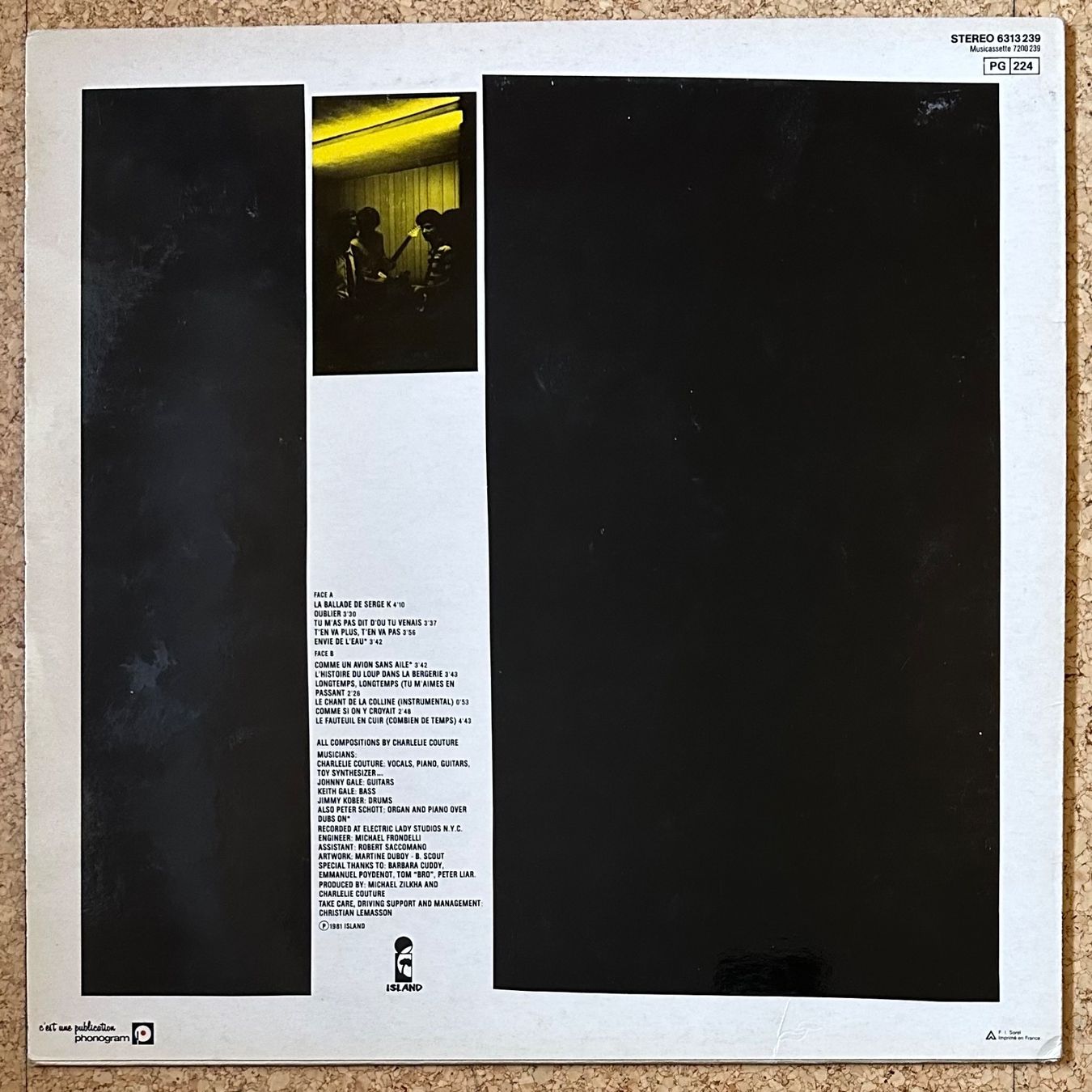 Dischi in vinile: LP - Charlélie Couture - Poèmes Rock – Usato da Breganzona venduto da Onairda75 1
