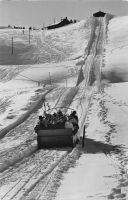 Adelboden Geils Funi Schlitten