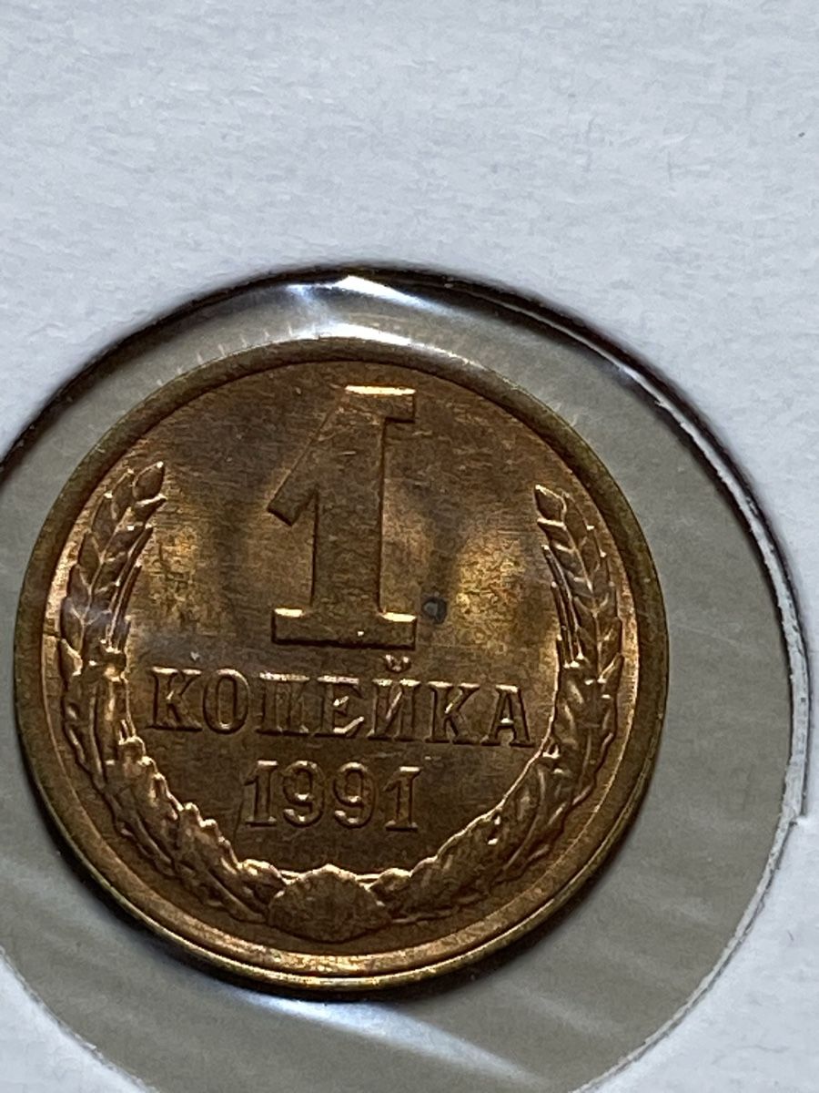 Tutti le monete: URSS - 1 kopeck - 1991 – Usato da Payerne venduto da Mike1682 1