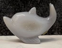 Achat Delfin C 35g