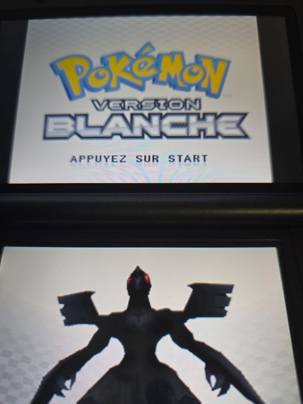 Pokémon Giochi: Pokémon Version Blanche Nintendo DS – Usato da Matten b. Interl venduto da Gameplus 2