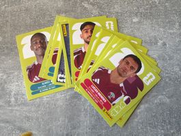 Panini QAT Bilder zum aussuchen Preis pro Bild