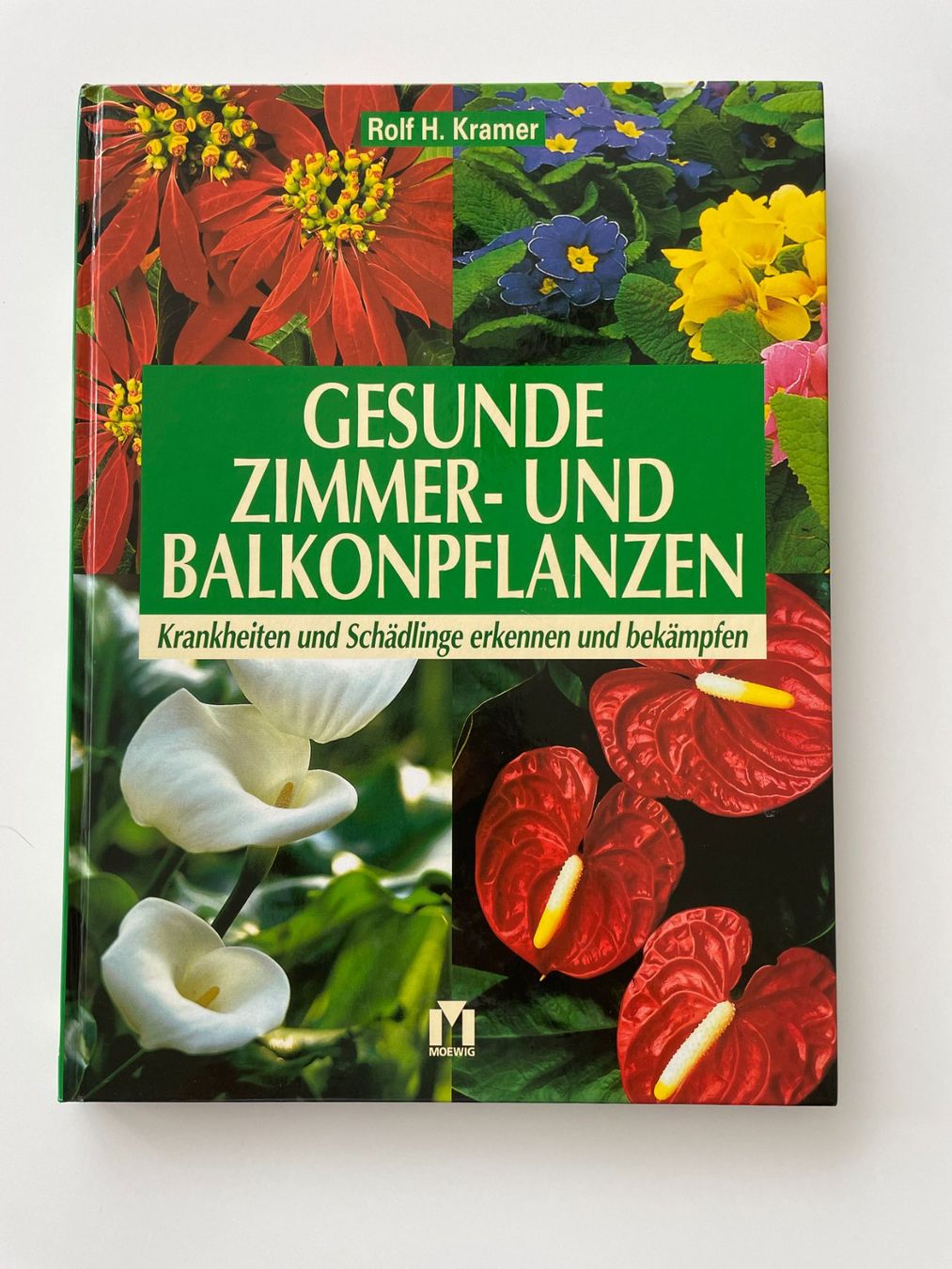 Libri: Buch "Gesunde Zimmer und Balkonpflanzen" – Nuovo (secondo la descrizione) da Lachen SZ venduto da portbrin