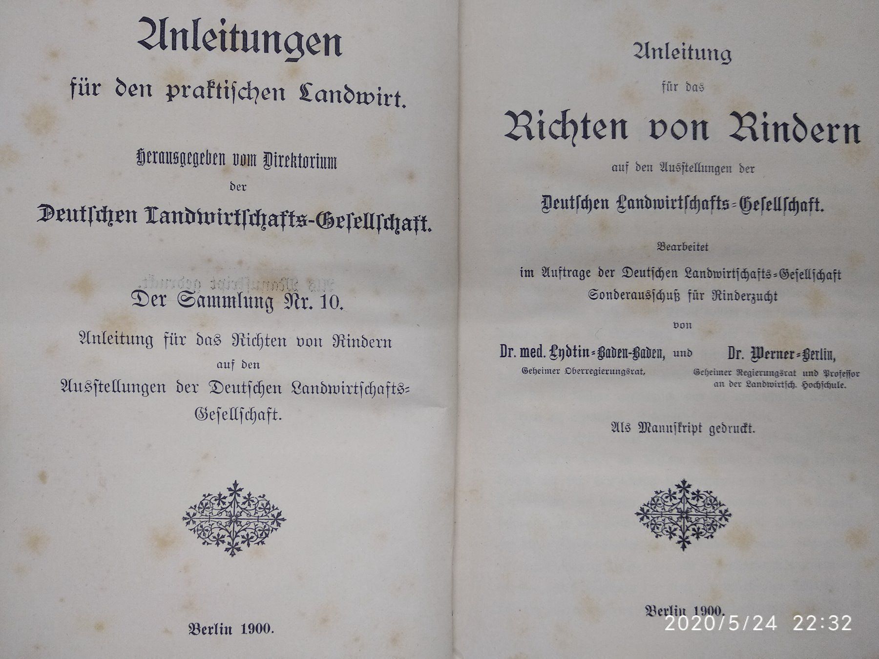 Libri: RICHTEN VON RINDERN – Usato da Goldach venduto da Gaip 3