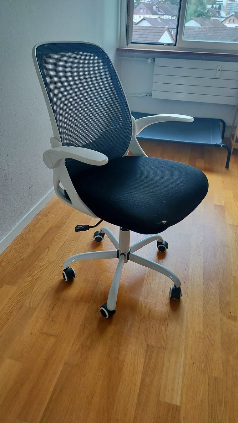 Stühle: Bürostuhl – Gebraucht aus Luzern von cla_k79r