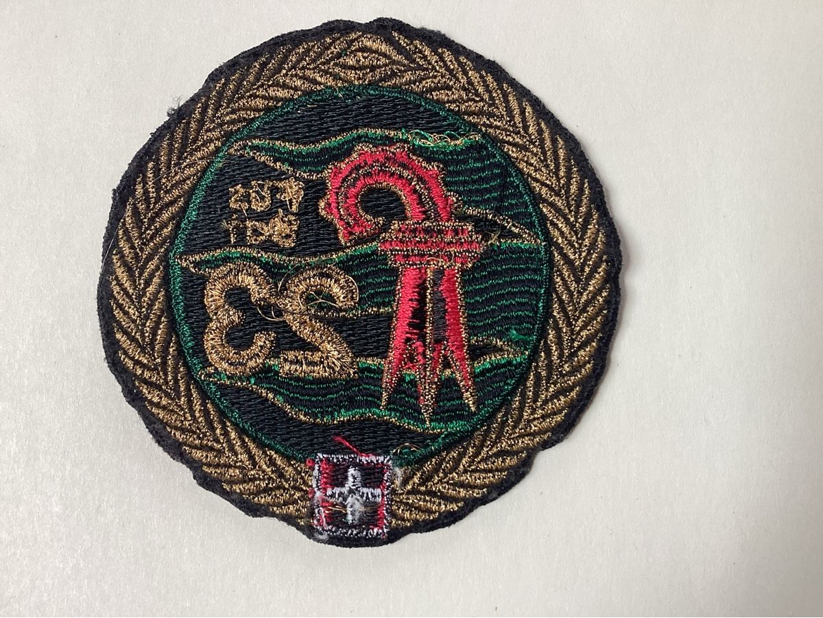 Schweizer Armee Placchette & Badge: Badges – Usato da niederurnen venduto da Hagugelmann 1