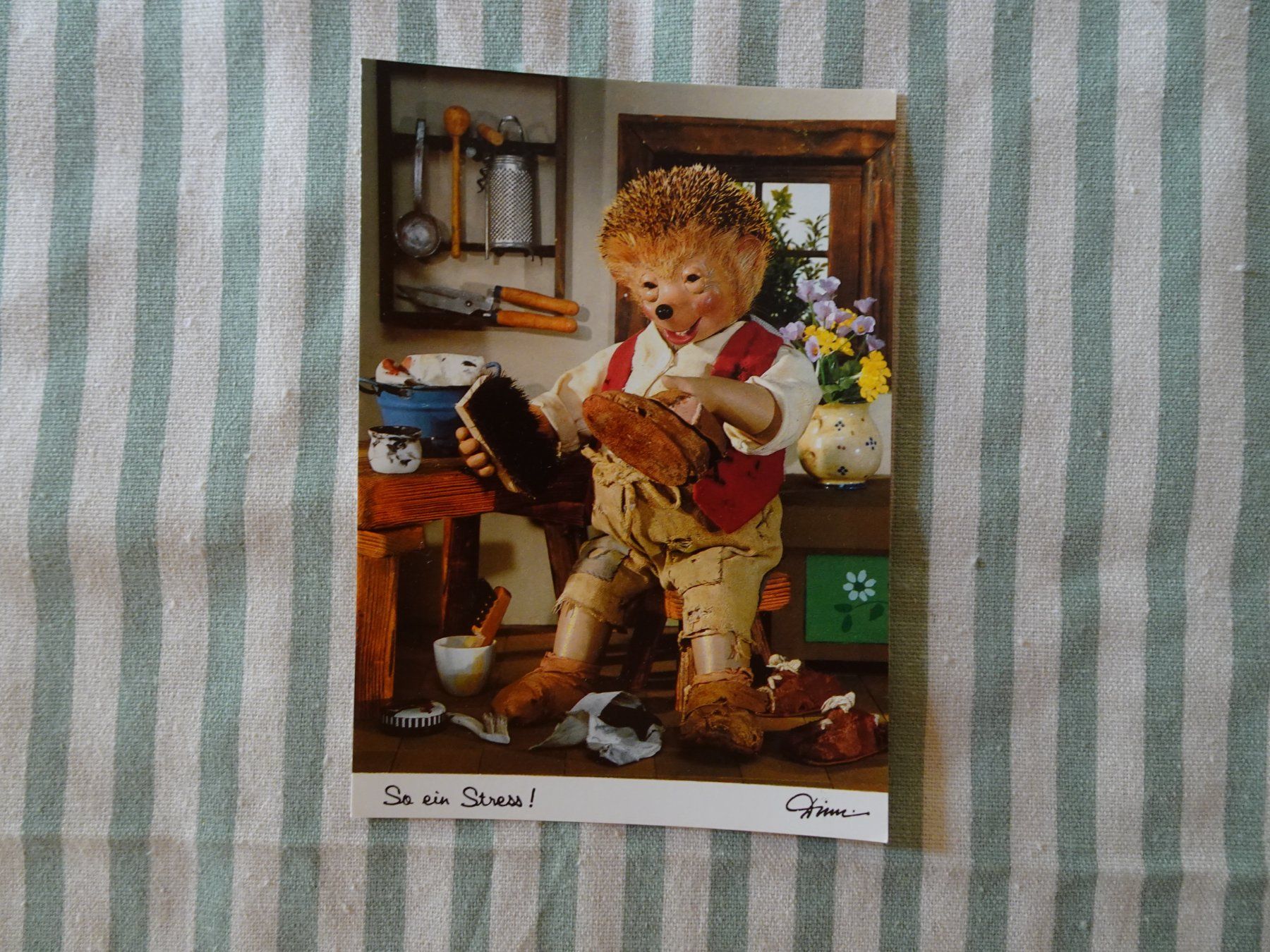 Cartoline postali: Mecki Ansichtskarte ungelaufen "So ein Stress!" - 260808 – Usato da Küssnacht am Rigi venduto da Kleinpreis-Shop