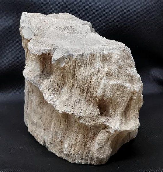 Fossili: Versteinertes Holz Indonesien – Nuovo (secondo la descrizione) da Walenstadt venduto da vkt_qc8d 1