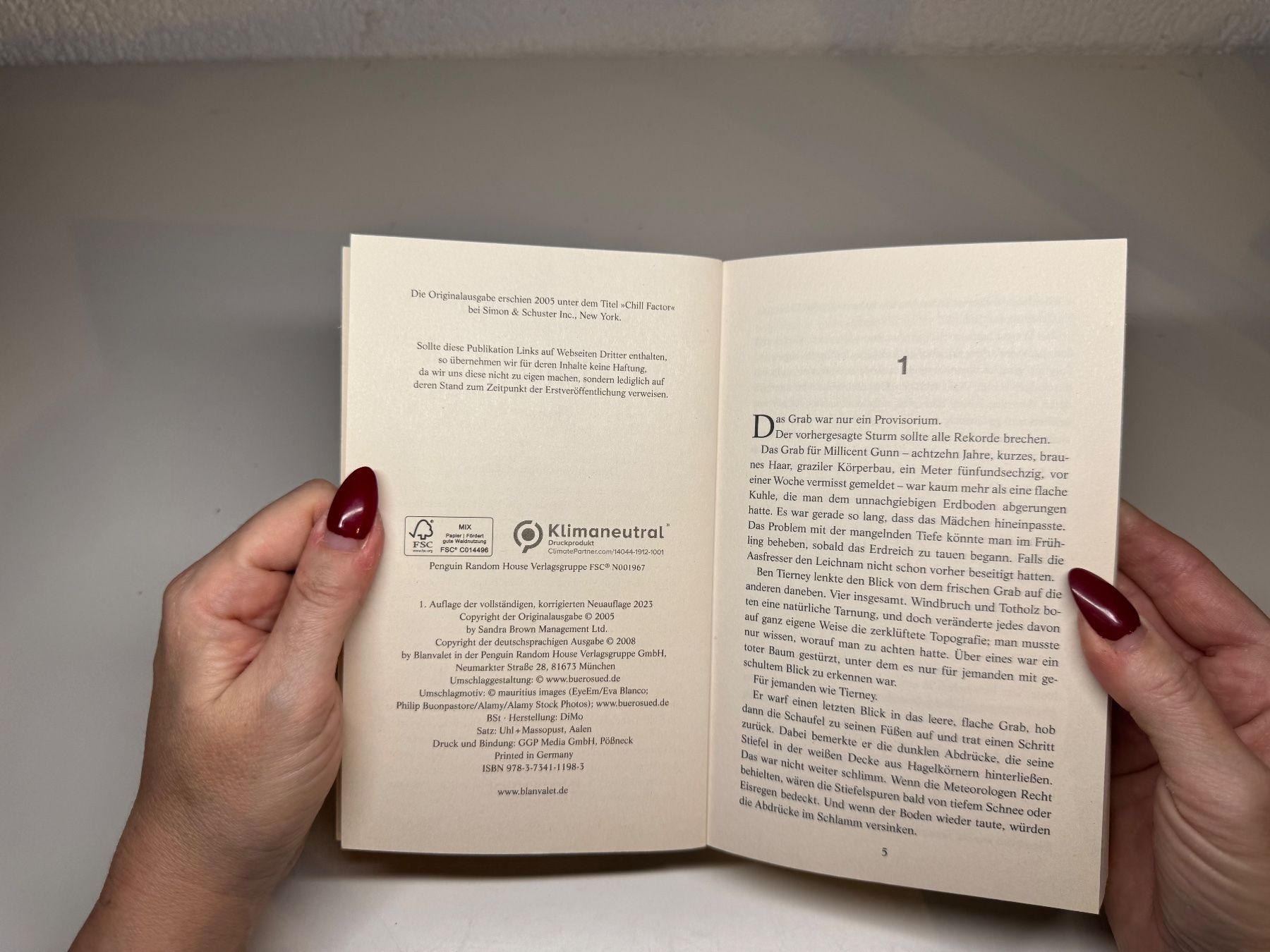 Libri: ROMAN: Sandra Brown, Eisnacht – Usato da Grosswangen venduto da Deutsche_Romane 3