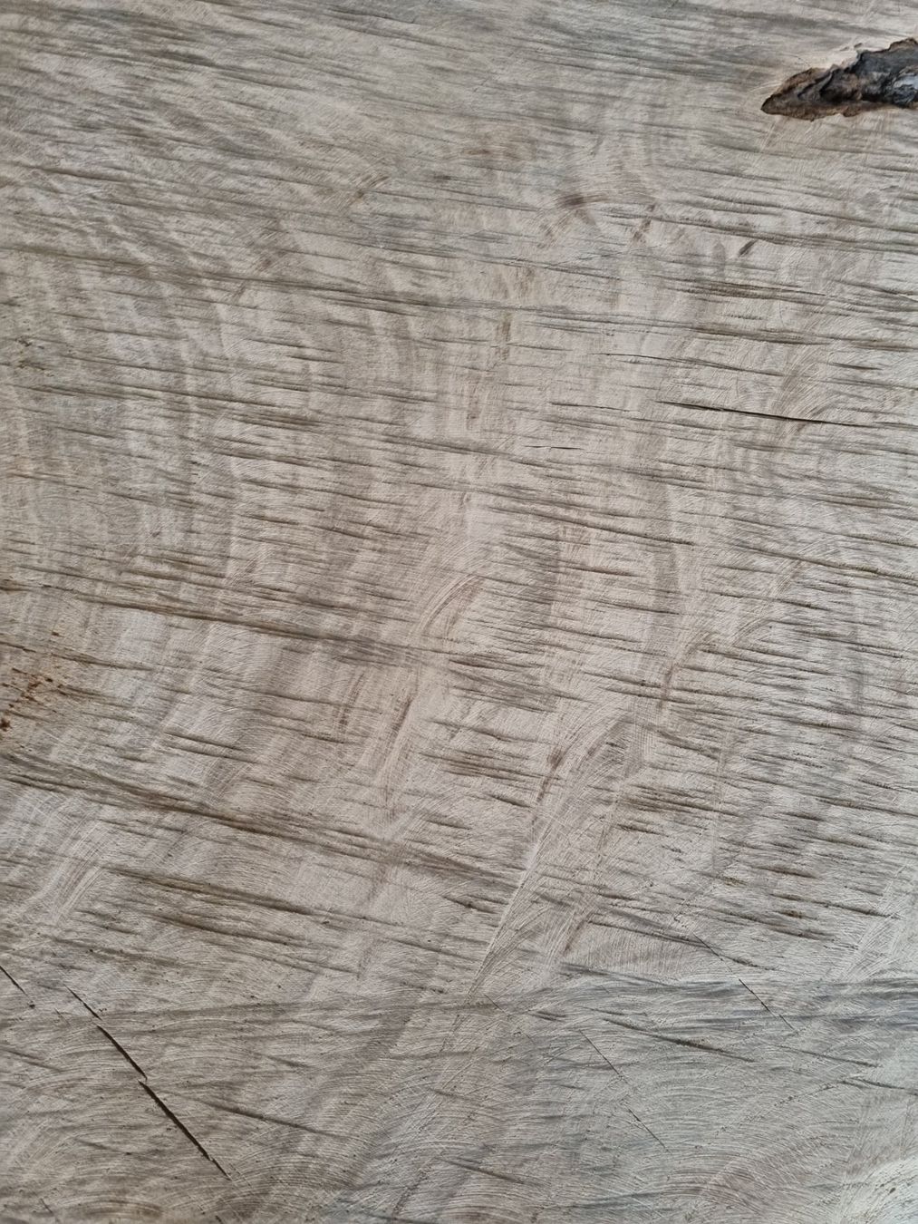 Articoli in legno: Baumscheibe Eiche Tischplatte Eichenplatte XXL  210 cm – Usato da Rheineck venduto da Dein_Wunschholz 6