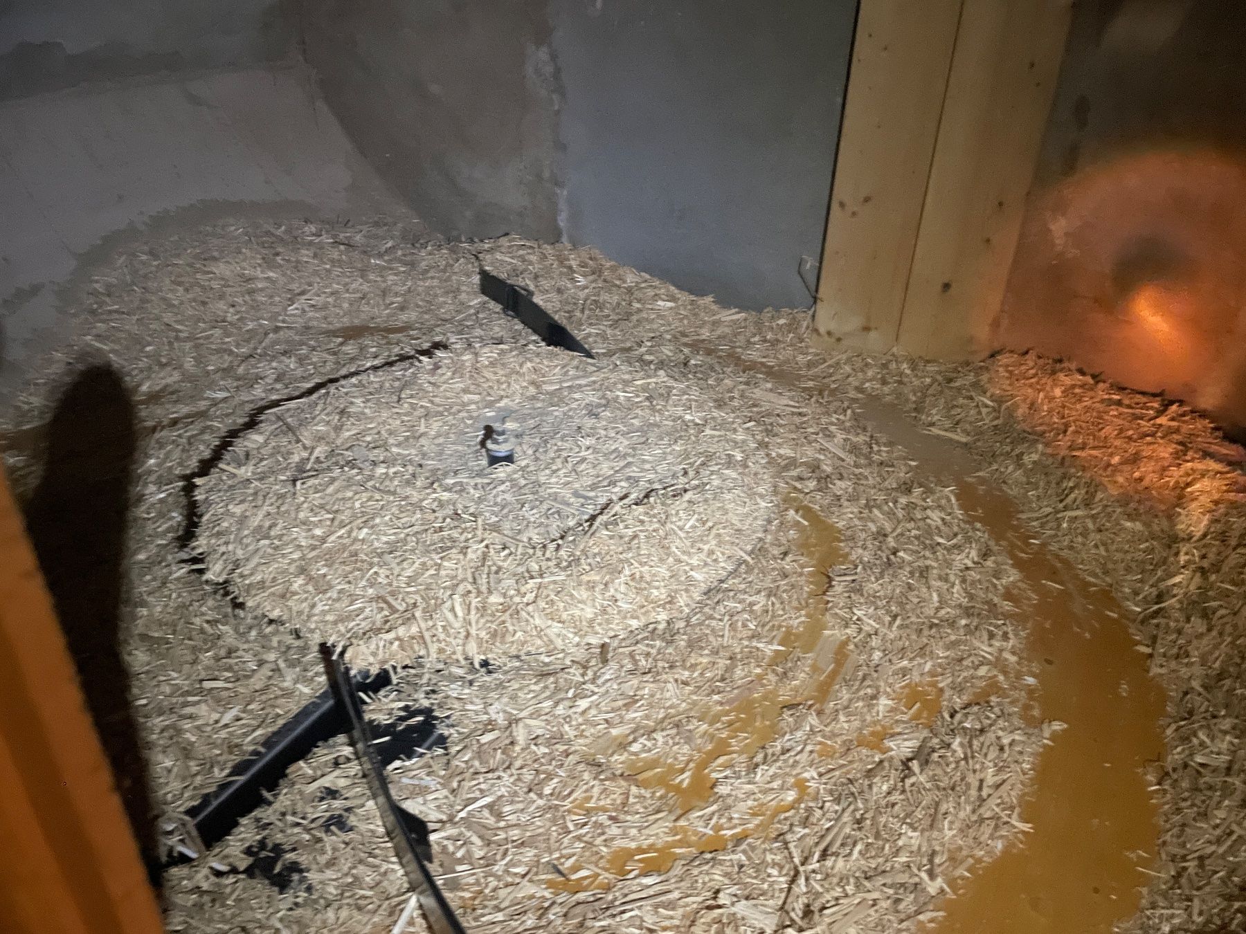 Radiateurs: Holzschnitzelheizung – D'occasion à Lengnau BE par Pati 1