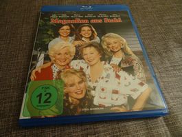 Magnolien aus Stahl Blu-ray