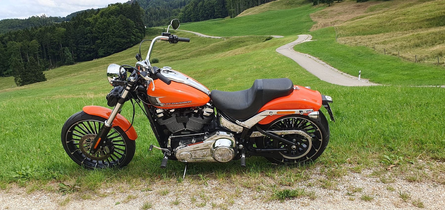 Harley-Davidson Chopper: Harley-Davidson Breakout 117 – Gebraucht aus Seewen SO von DealornoDeal 9