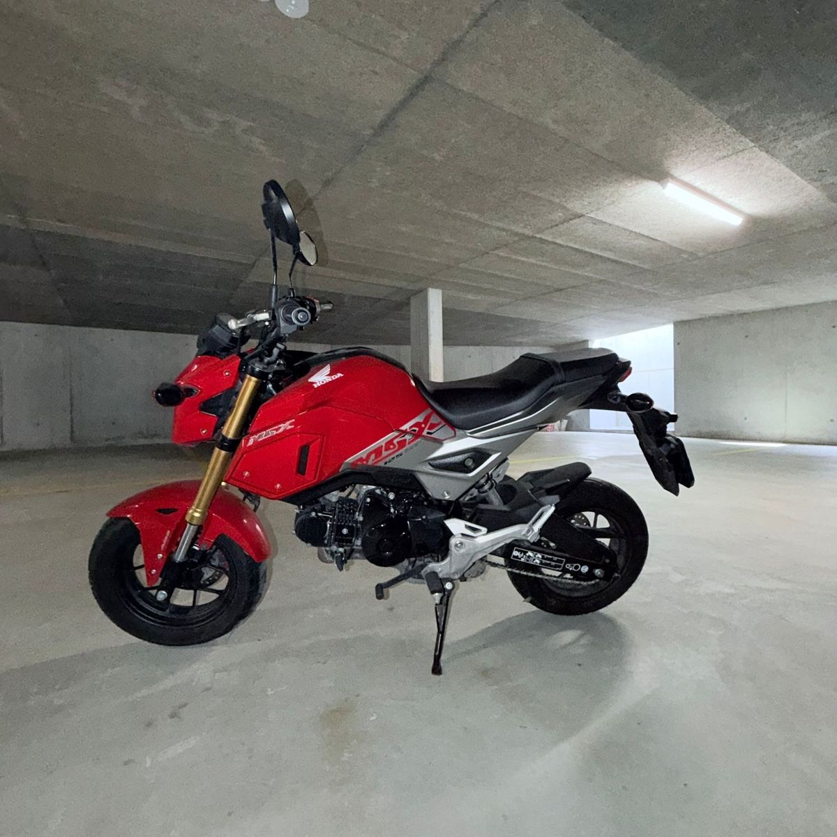 Strada: Honda MSX 125 – Usato da Servion venduto da Mils_Lvnde 2