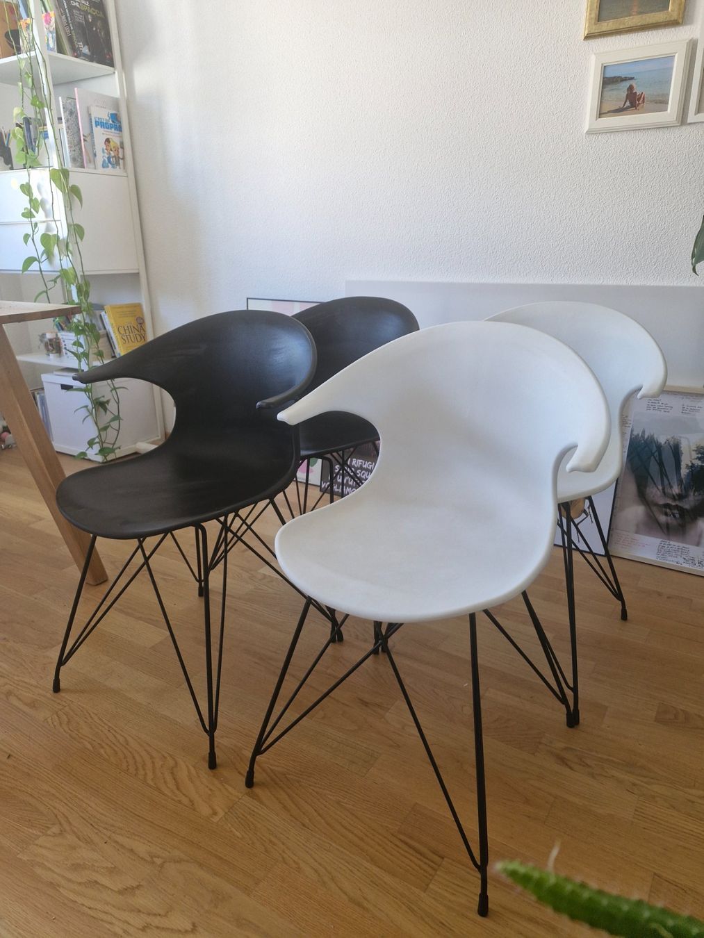 Sedie: 4× Esszimmerstühle – Usato da Winterthur venduto da MelBlondie 1