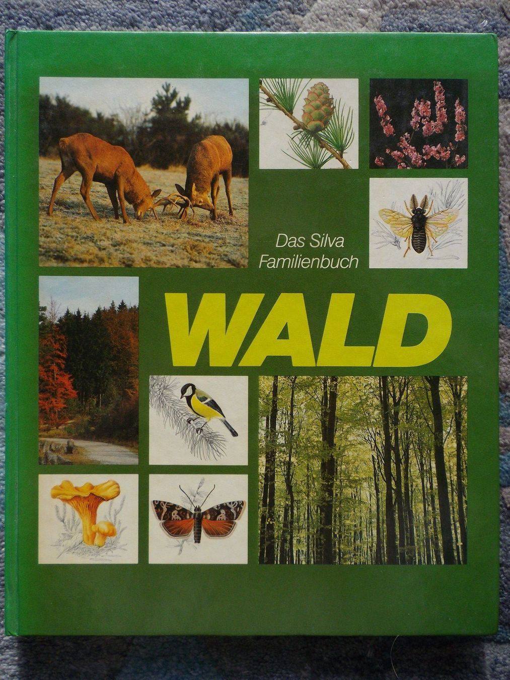 Libri: Wald - Das Silva Familienbuch – Usato da Uster venduto da urs_75by
