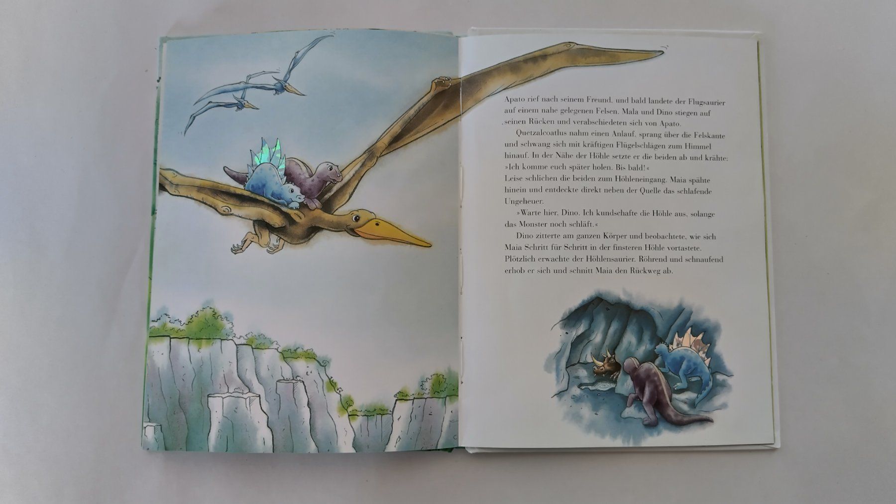 Bücher: Der kleine Dino / Bilderbuch Marcus Pfister / Midi-Format – Gebraucht aus Bellach von JingleJerry 6