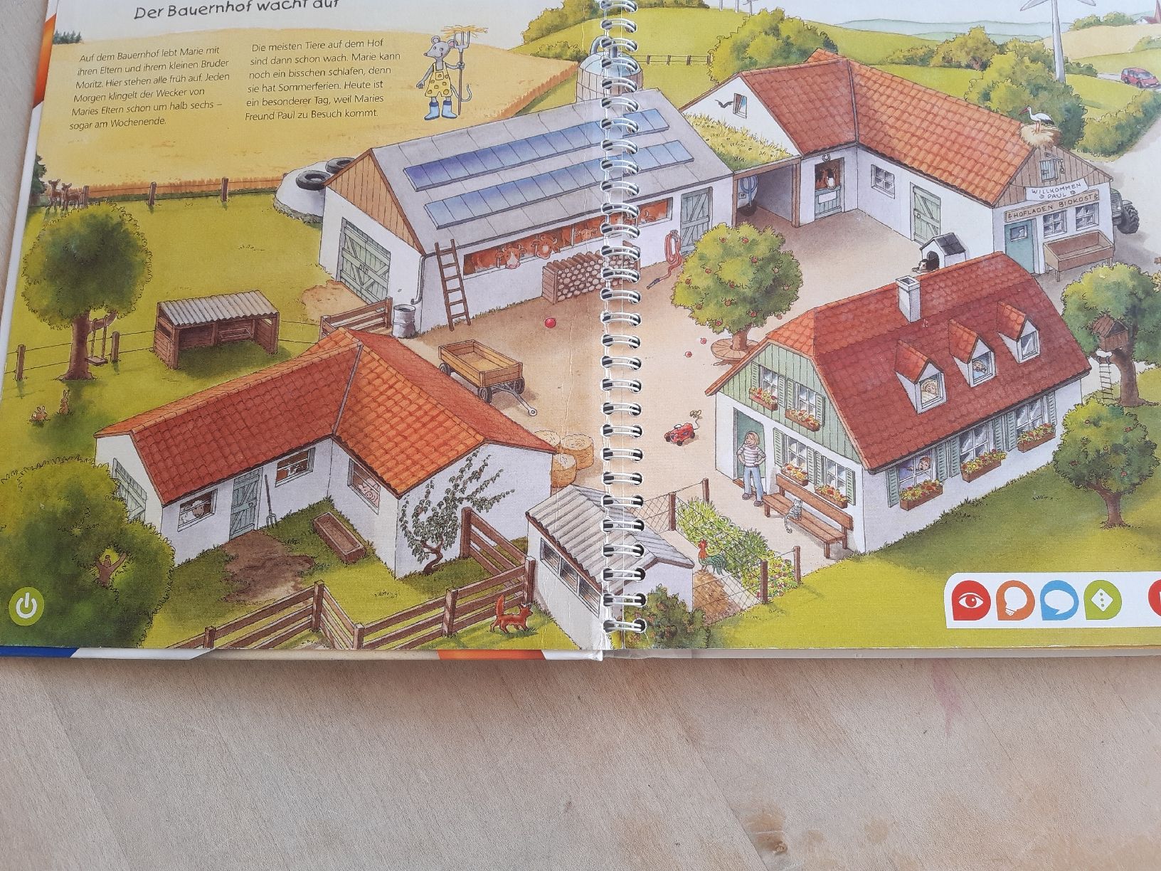 Bücher: Kinderbuch: Entdecke den Bauernhof – Gebraucht aus Spiegel b. Bern von hopplas 1