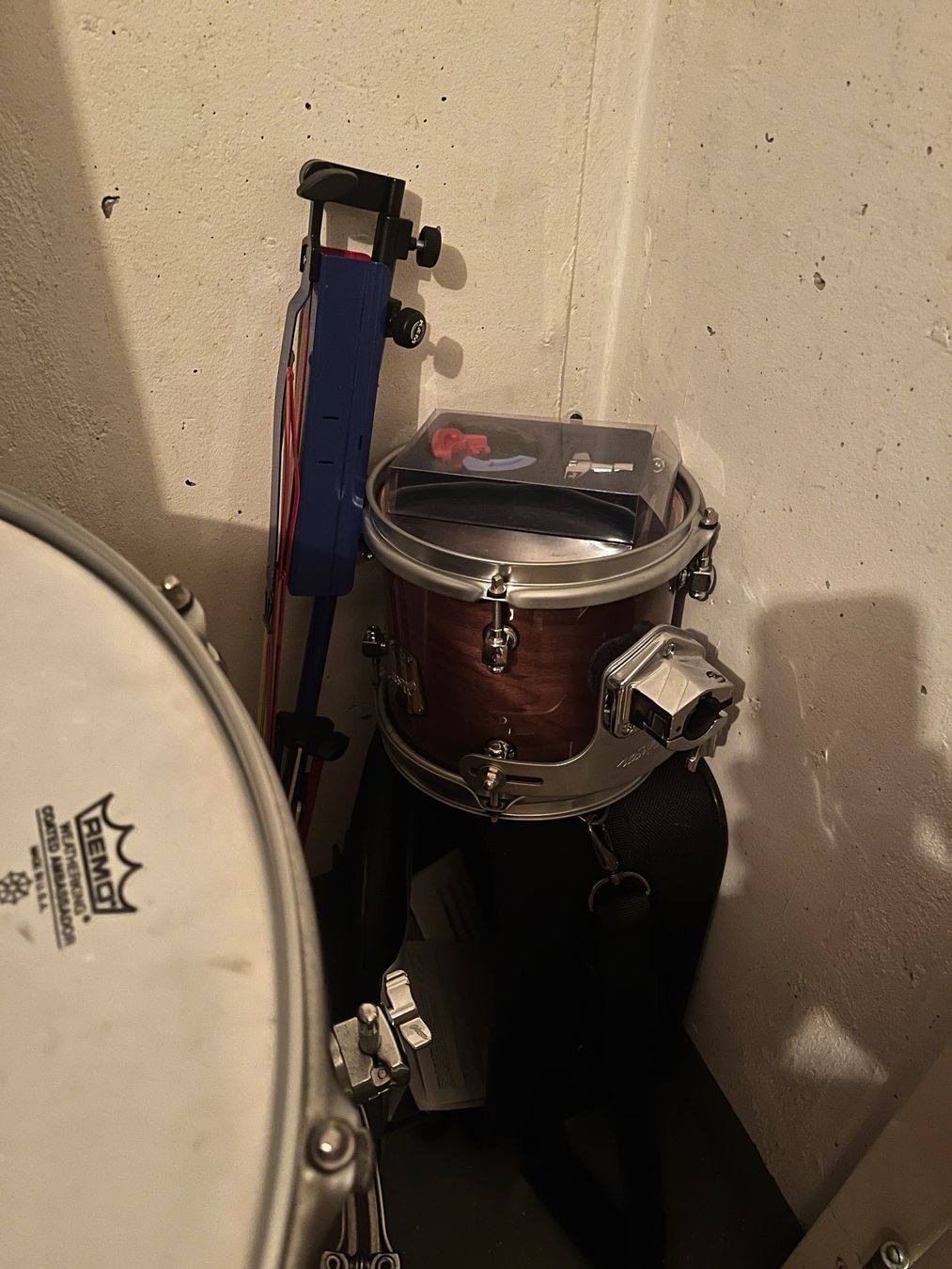 Strumenti musicali: Cadeson Blast all Maple Schlagzeug – Usato da Bottmingen venduto da hilairea 6