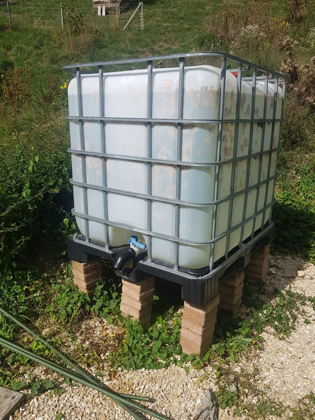 Tränken & Tröge: Wassertank 1000liter – Gebraucht aus Roches BE von Fanato7 1