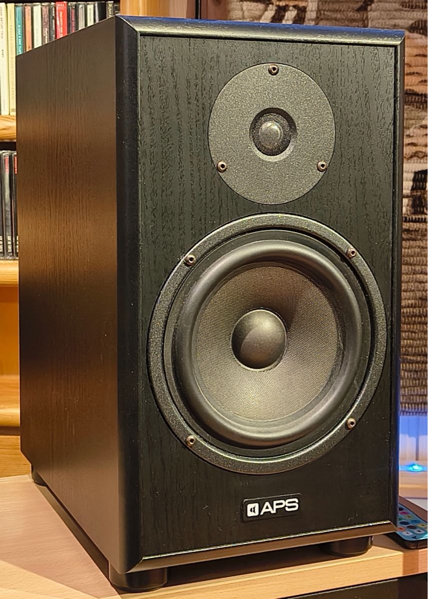 Casse acustiche: APS Klasik-2020 active Monitore (matched pair) – Usato da Unterägeri venduto da Vivi55vivi
