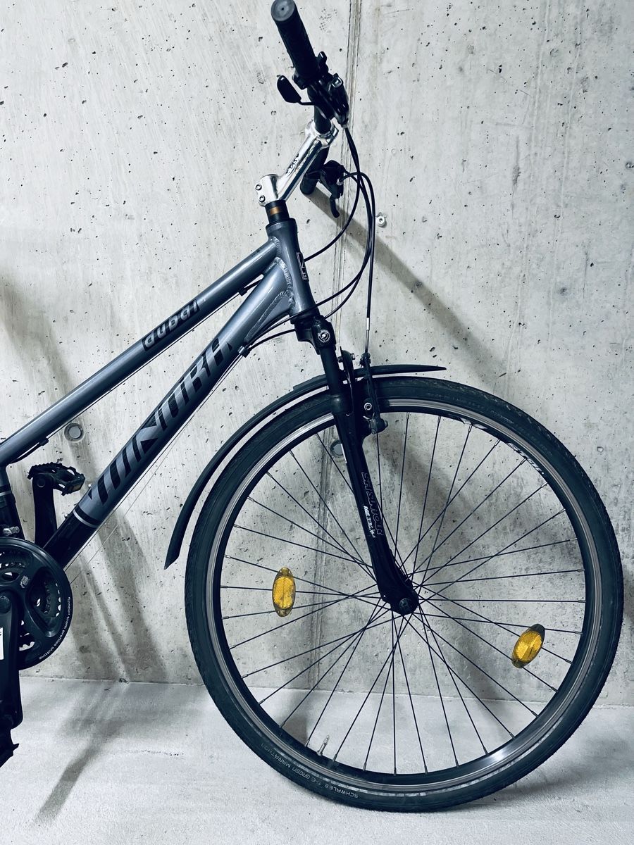Winora Biciclette: Winora Dubai Damen Velo – Usato da Zürich venduto da Bidon3011 8